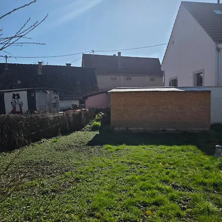 Lägenhet Maison Cosy Et Jardin A 15 Min De Strasbourg Centre Hoenheim