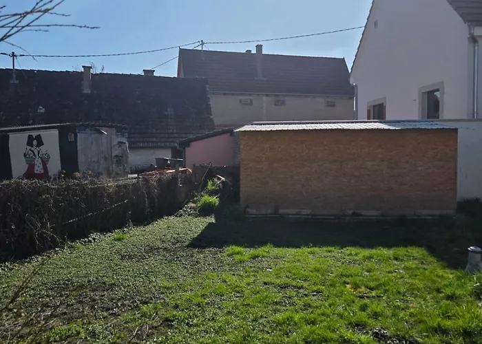 Lägenhet Maison Cosy Et Jardin A 15 Min De Strasbourg Centre Hoenheim